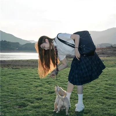傲骨贤妻第七季